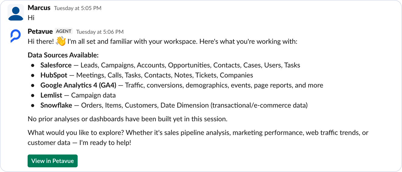Sage's opening message in Slack, listing connected data sources and the objects in each